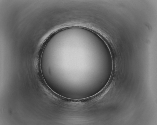 X0000113941502200909251229
