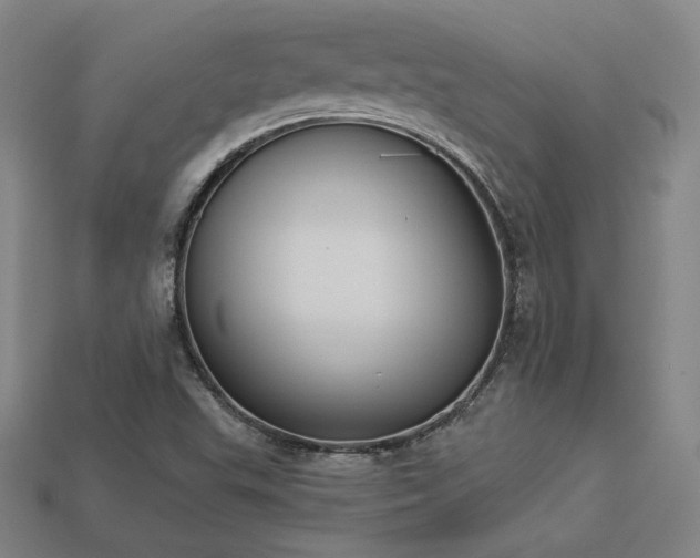 X0000113941503200909251229
