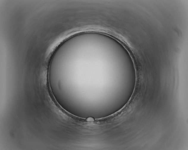 X0000113941504200909251229