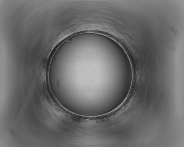 X0000113941505200909251229