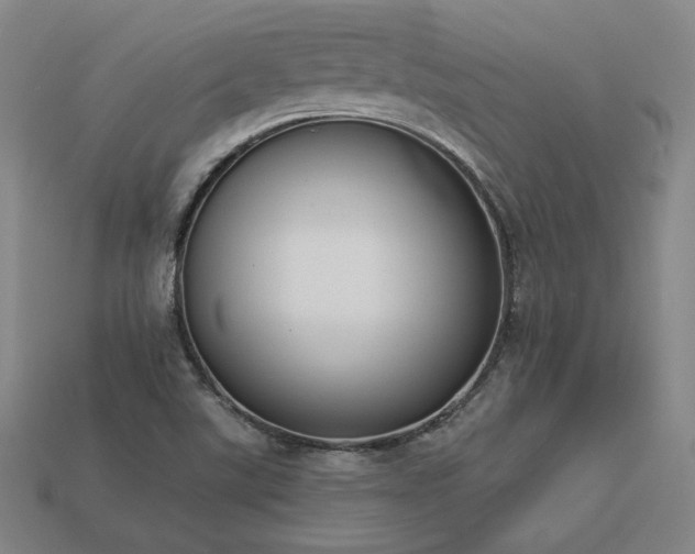 X0000113941507200909251229