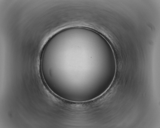 X0000113941508200909251229