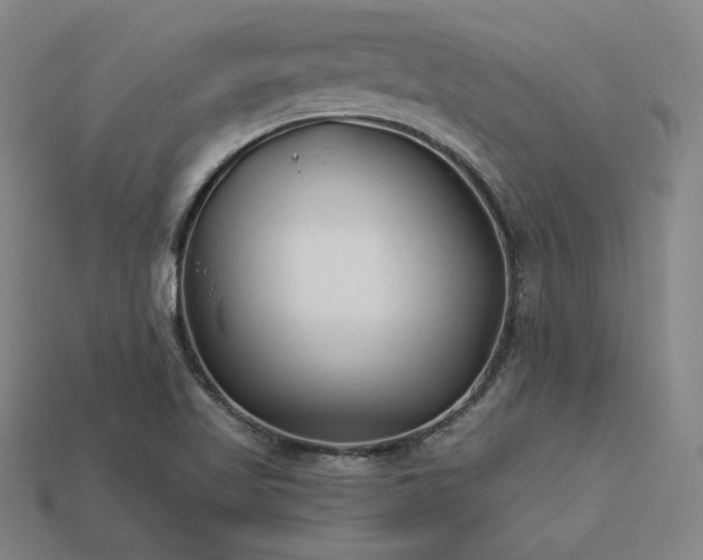 X0000113941509200909251229