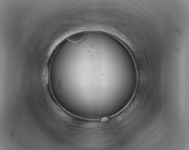 X0000113941510200909251229