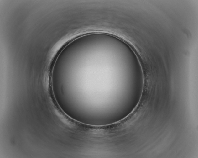 X0000113941511200909251229