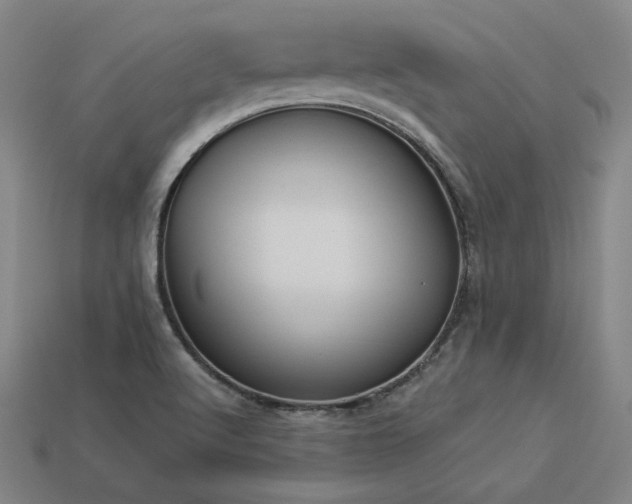 X0000113941512200909251229