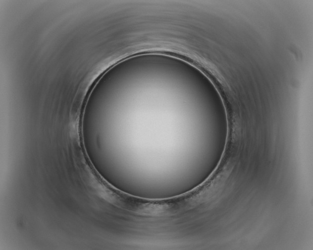 X0000113941513200909251229