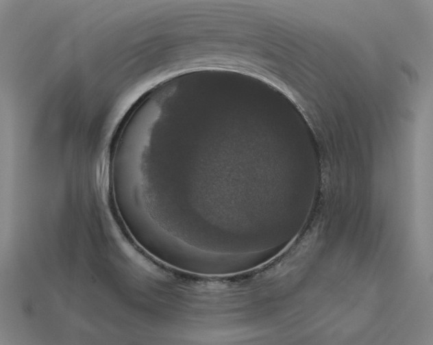 X0000113941515200909251229