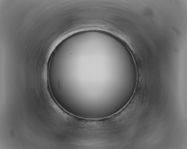 X0000113941516200909251229