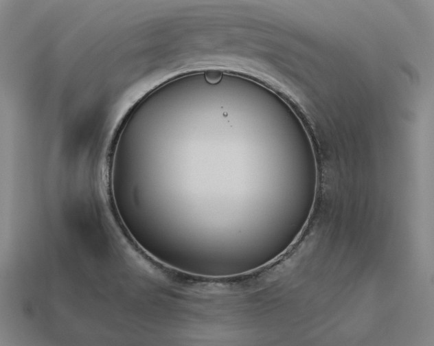 X0000113941517200909251229