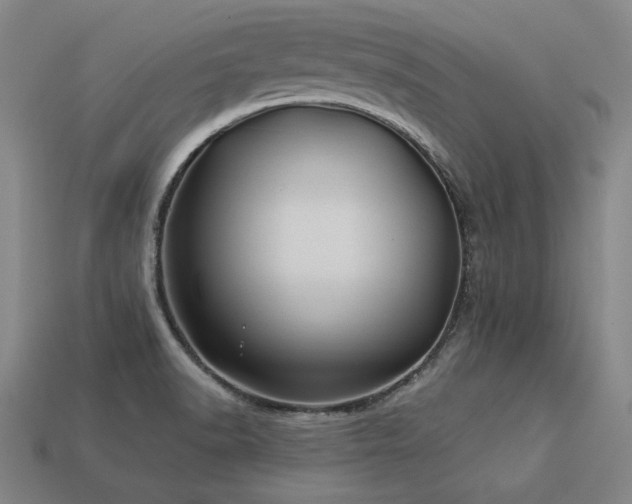 X0000113941518200909251229