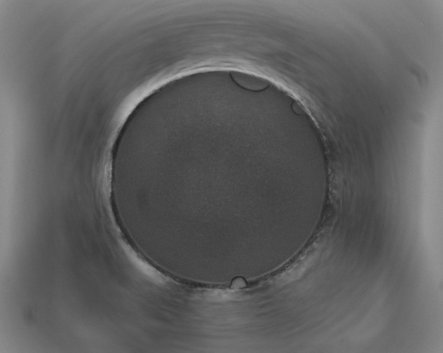 X0000113941519200909251229