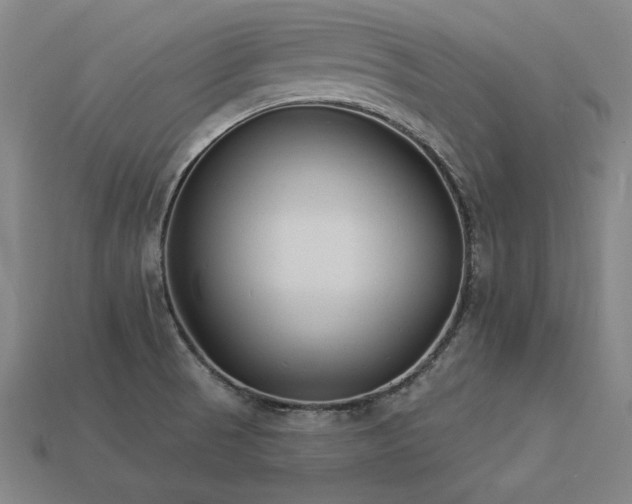 X0000113941521200909251229