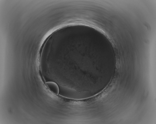 X0000113941522200909251229