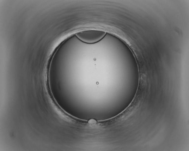 X0000113941523200909251229