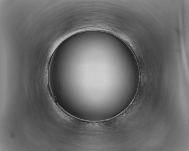 X0000113941524200909251229