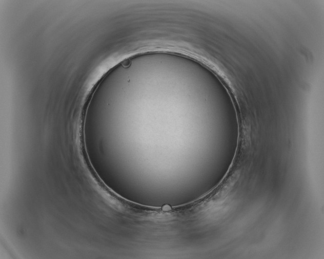X0000113941525200909251229