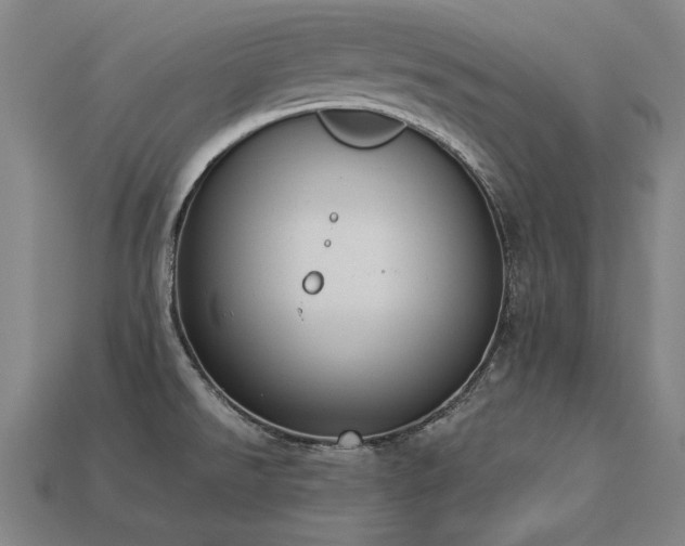 X0000113941526200909251229