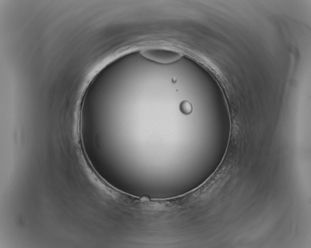 X0000113941528200909251229