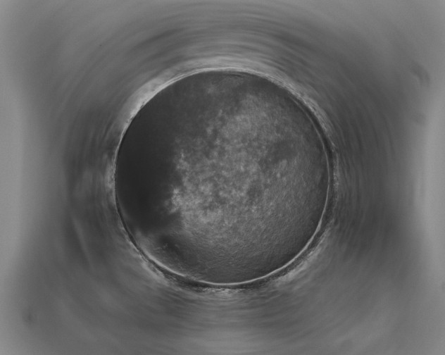 X0000113941529200909251229