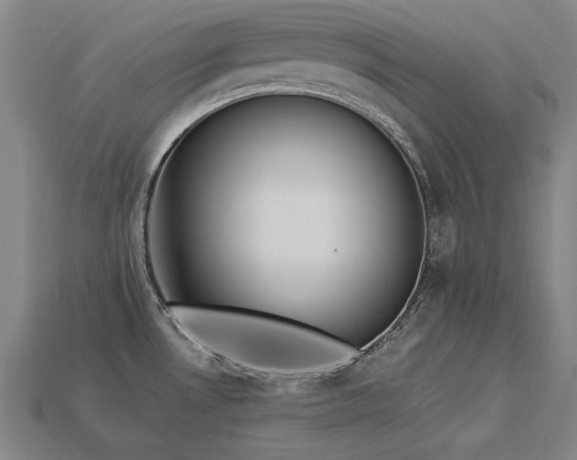X0000113941530200909251229