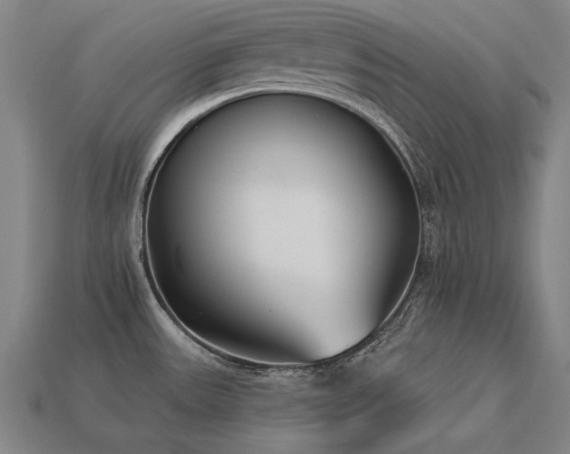 X0000113941531200909251230