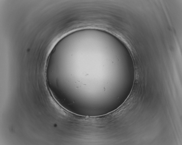 X0000113941532200909251230