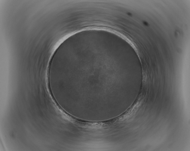 X0000113941533200909251230