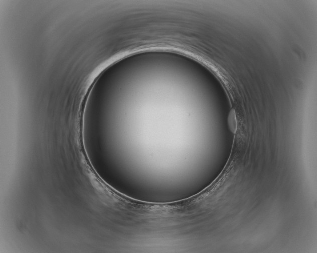 X0000113941534200909251230