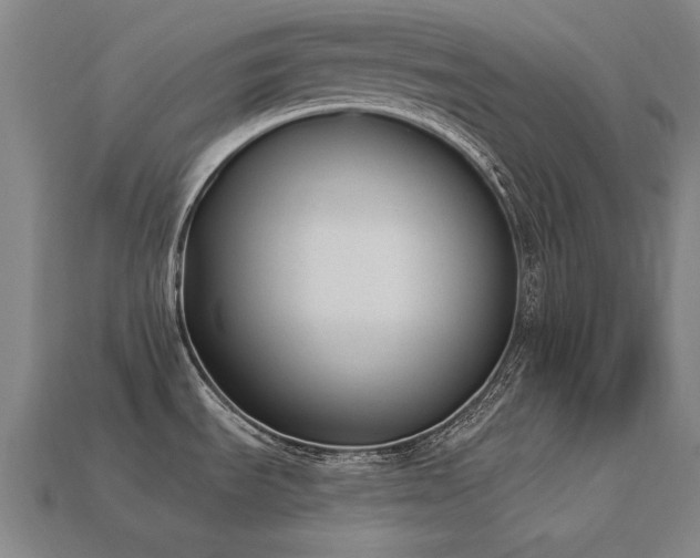 X0000113941535200909251230