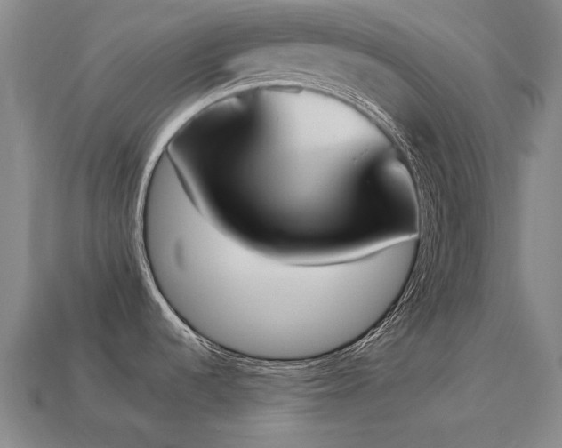X0000113941536200909251230