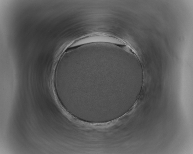 X0000113940001200910021312