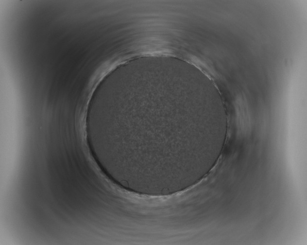 X0000113940002200910021312