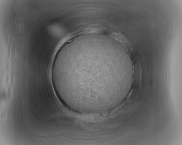 X0000113940003200910021312