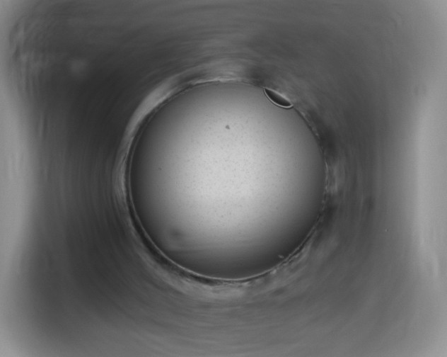 X0000113940004200910021312