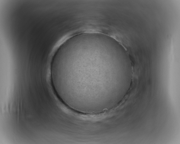 X0000113940005200910021312