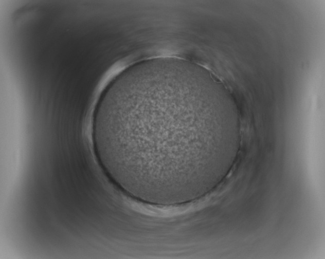 X0000113940006200910021312