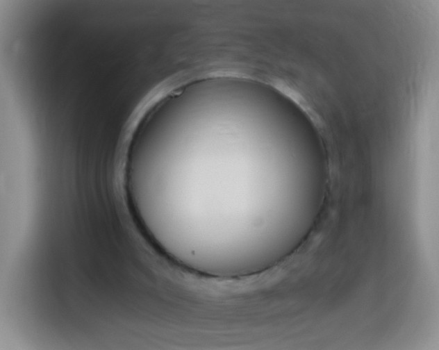 X0000113940007200910021311