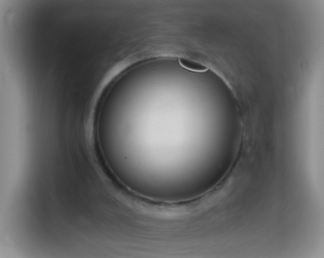 X0000113940008200910021311