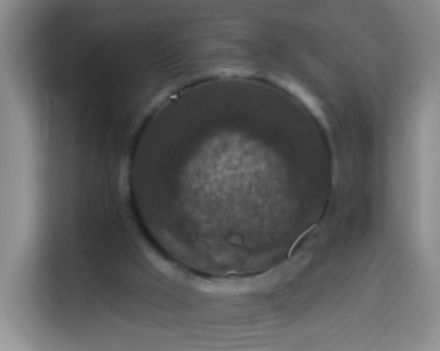 X0000113940009200910021311