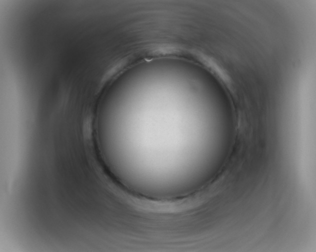 X0000113940010200910021311