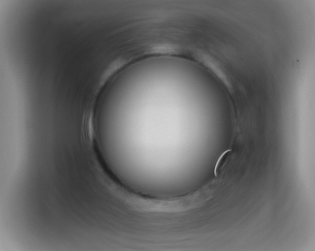 X0000113940011200910021311