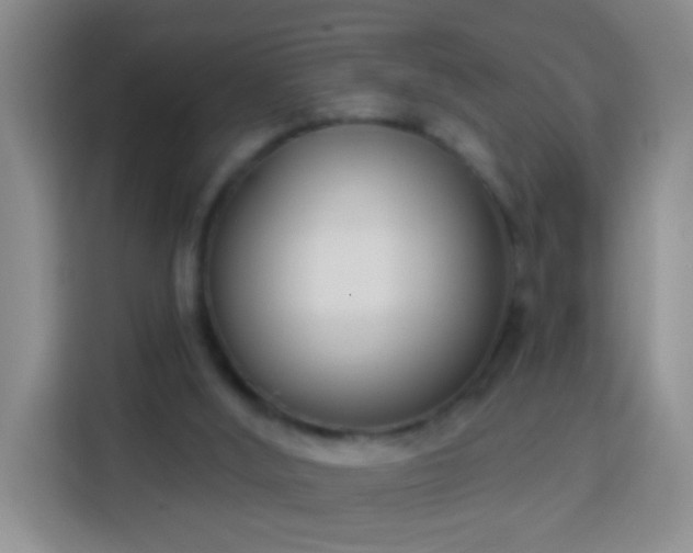 X0000113940012200910021311