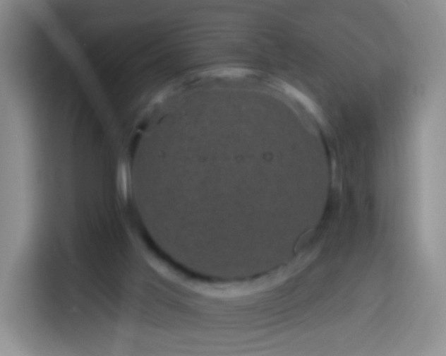 X0000113940013200910021311