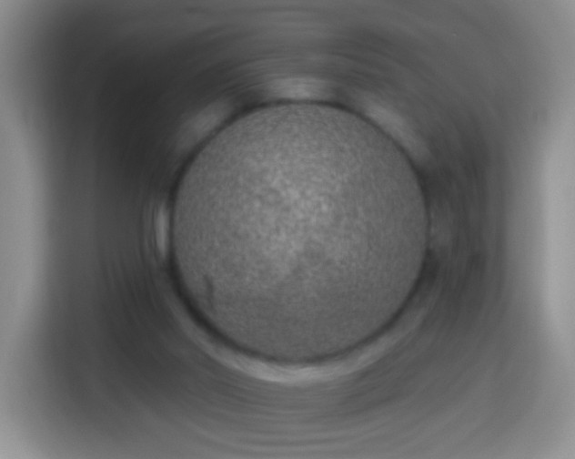 X0000113940014200910021311