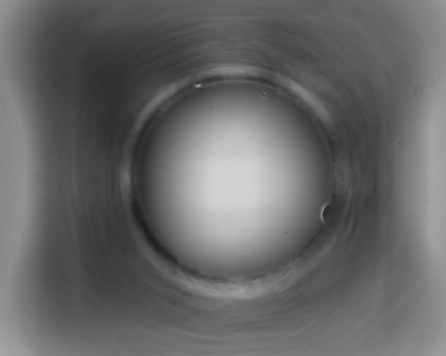 X0000113940015200910021311