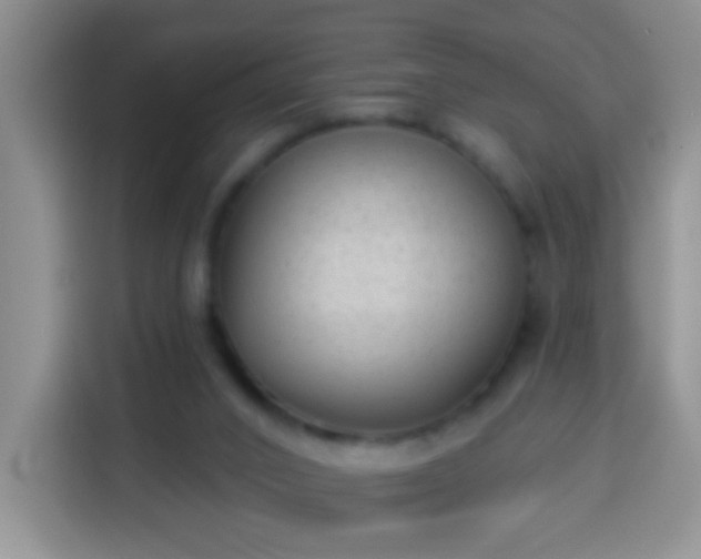 X0000113940016200910021311