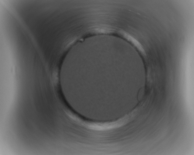 X0000113940017200910021311