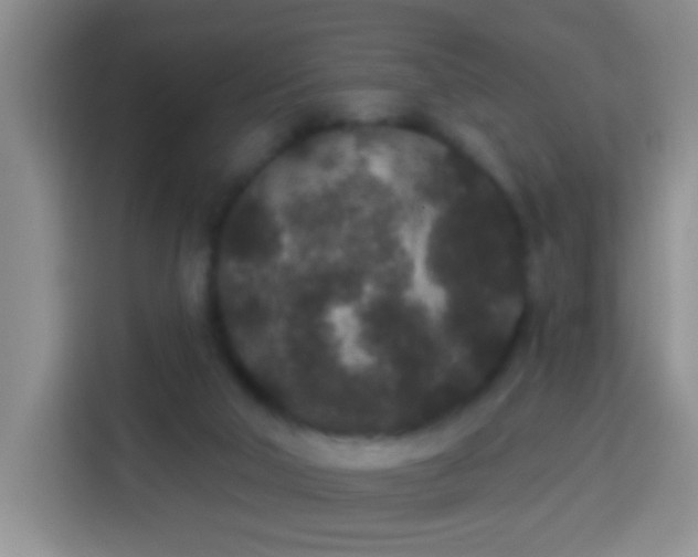 X0000113940018200910021311