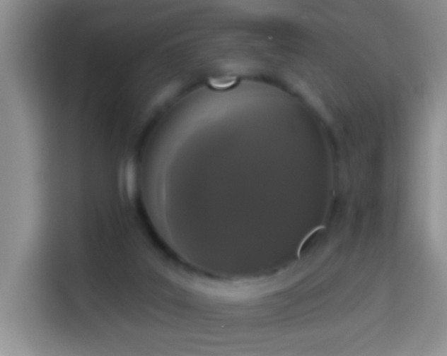 X0000113940019200910021311